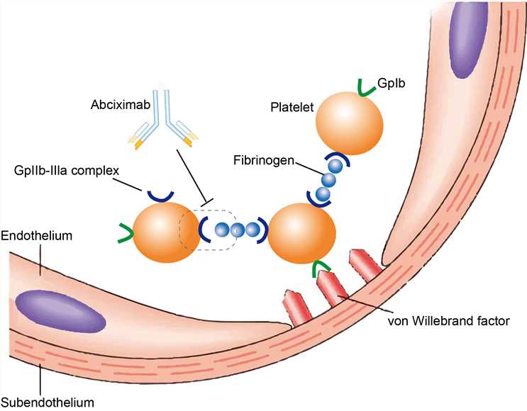 Abciximab Overview